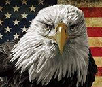 Delray Beach Auto Accident Injury Chiropractic in Delray Beach